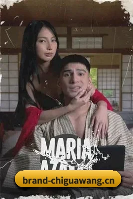 📺 关于本站 - 体育资讯内容服务